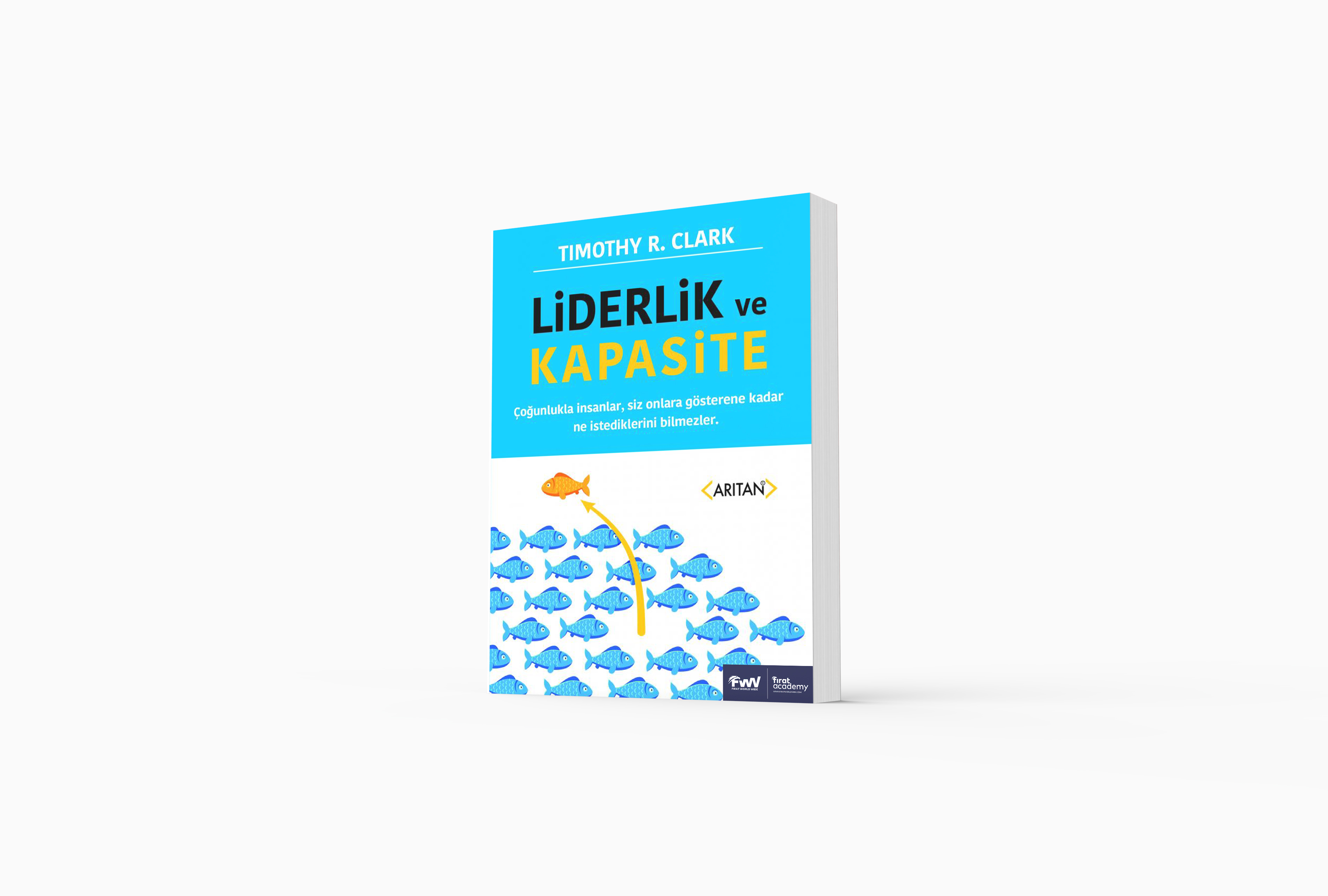 LİDERLİK VE KAPASİTE