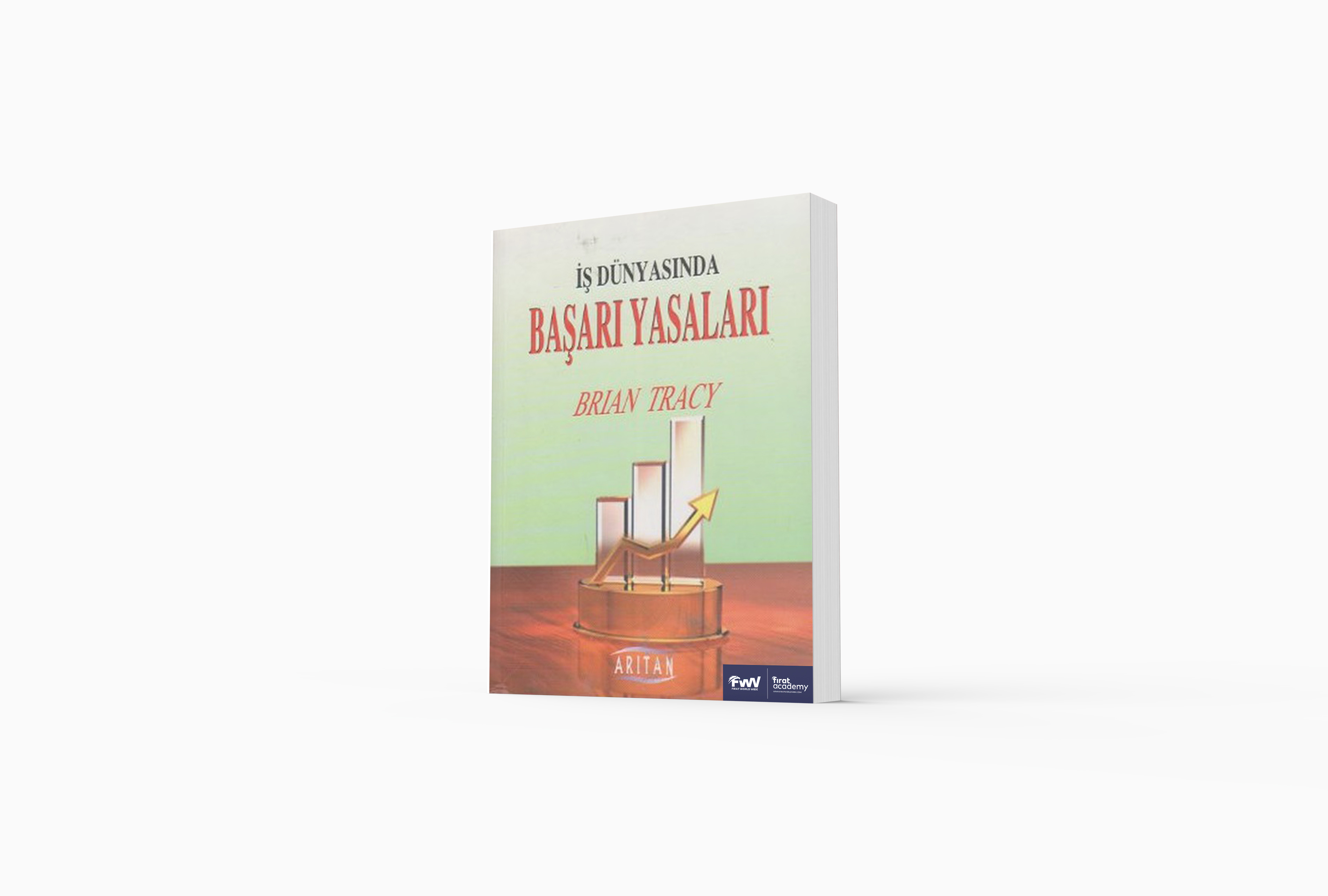 İŞ DÜNYASINDA BAŞARI YASALARI